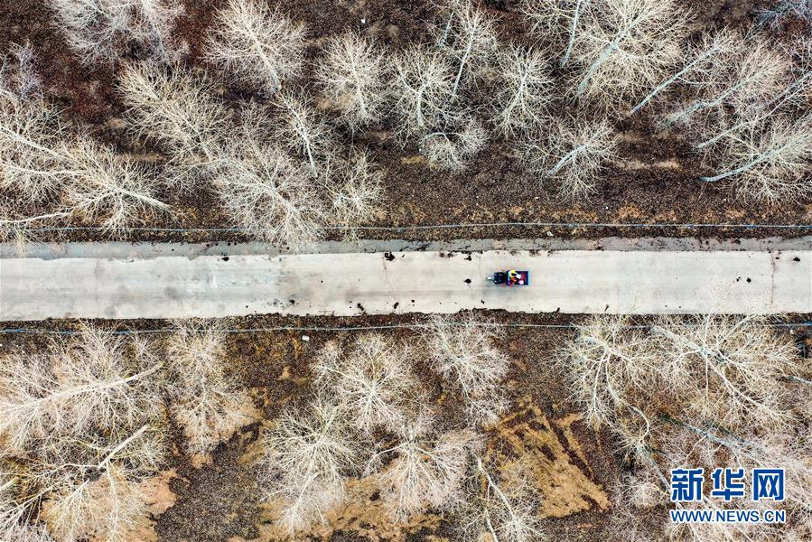 （图片故事）（7）下山返校，冲刺高考——吕梁山娃复课记